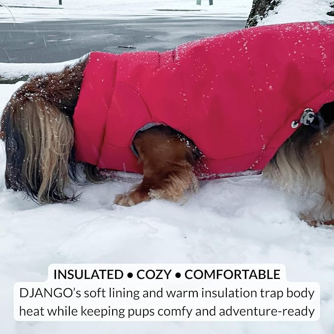 DJANGO Reversible Puffer Dog Coat – Warm Winter Dog Jacket & Water-Repellent Insulated Dog Coat with Harness Hole, Windproof, Adjustable Fit for Small & Medium Dogs, Dachshunds – Lava Red, X-Small
