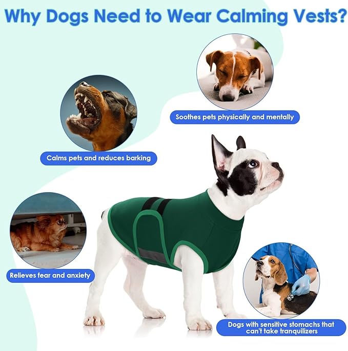 MIGOHI Dog Anxiety Relief Coat,Comfort Anxiety Vest for Dogs,Adjustable Dog Anxiety Calming Wrap for Fireworks,Thunderstorm,Travel,Separation,Anxiety Jacket for Small Dogs,S,Green