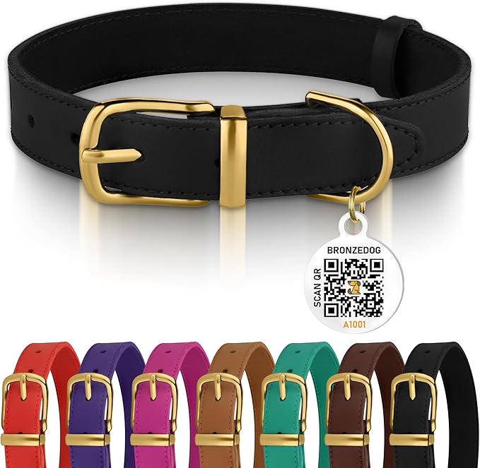 BRONZEDOG Leather Dog Collar with Metal Buckle Durable Basic Pet Collars for Small Medium Large Dogs (13-16 Inch (Pack of 1), Black & Gold Buckle)