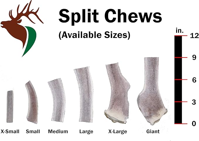 Medium Split Single Pack (for 20-40 lb Dogs and Puppies) Premium Grade Elk Antler for Dogs (1 Piece) Sourced in The USA