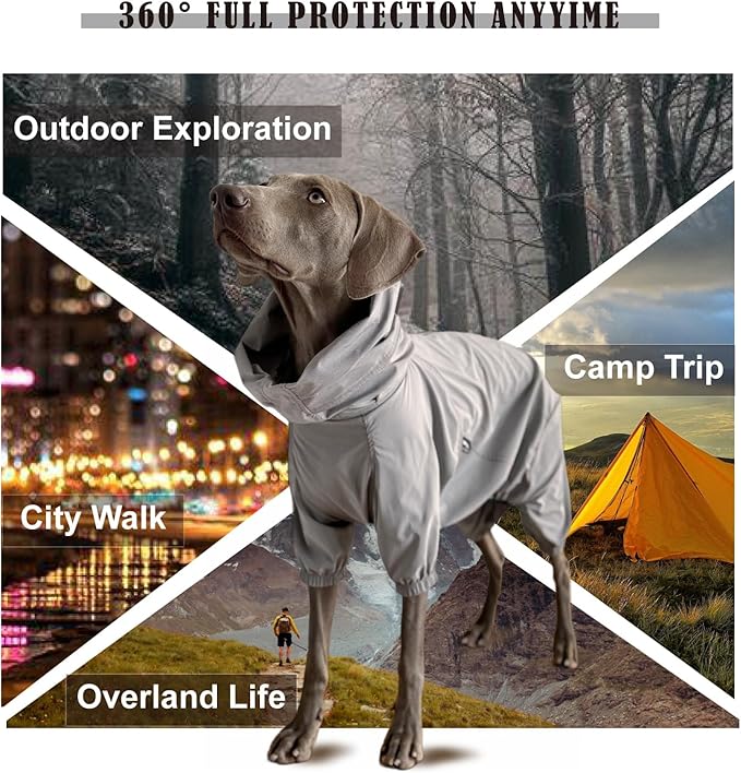 Dog Lightweight Windbreaker, Pet Outdoor Sports Jacket, 0.5 lbs,3 in One, Hooded, Easy on/Off with Collar and Harness, Reflective Piping, Packable, Dog Hiking/Camping, Grey (X-Large)