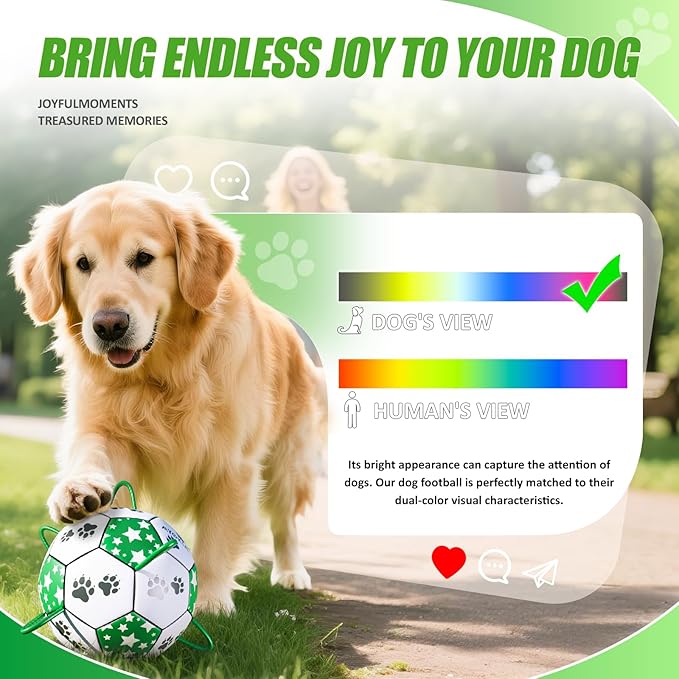 Size 2 Dog Soccer Ball with Straps White & Green Durable Training Ball for Pets Interactive Outdoor Dog Toy, for Small & Medium Puppies, Pet Supplies
