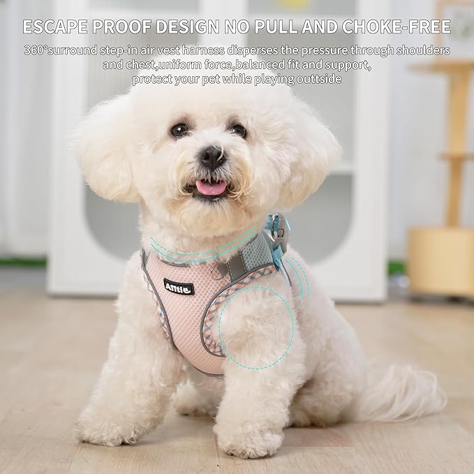 AIITLE Small Dog Harness - Breathable Double-Layer Jacquard No-Choke Vest, Durable Anti-Tear Fabric with Reflective Trim - Perfect for Running, Parties, Daily Walks (Blue-Pink, XS)