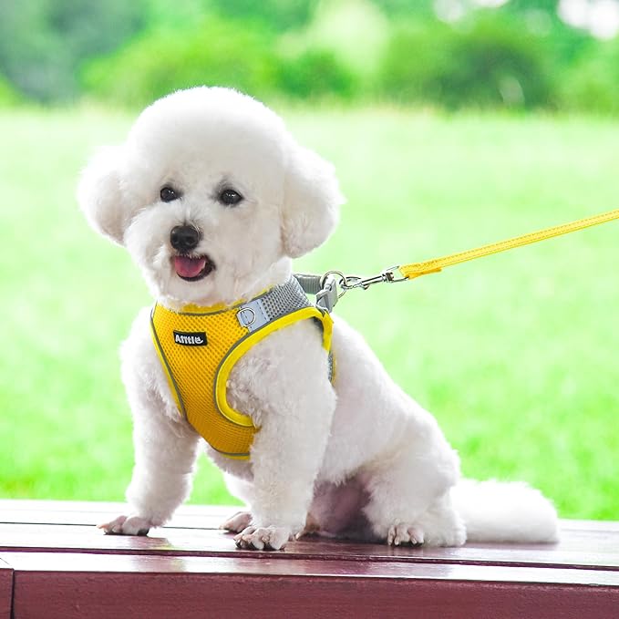 AIITLE Small Harness for Puppy with A Leash - Summer Dog Harnesses with Super Breathable Mesh, Reflective No-Pull Pet Vest for Outdoor Walking, Camping for XX-Small Dogs, Cats Yellow XXS