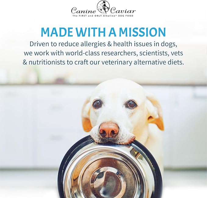 Canine Caviar - Leaping Spirit: Venison & Pearl Millet Alkaline Dry Dog Food, Limited Ingredients, Gluten-Free, Based on Science & Research, Veterinary Alternative Diet (22 Pound Bag)