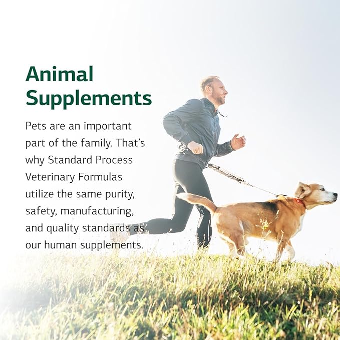 Standard Process Kitten Kit - Overall Health Kit for Feline Whole-Body Support - Feline Immune System Support Supplements - Wellness Supplements to Support Kitten Health & Growth - Includes Catnip Toy