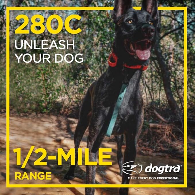 Dogtra 280C Waterproof 127-Level Precise Control LCD Screen 1/2-Mile Remote Training Dog E-Collar