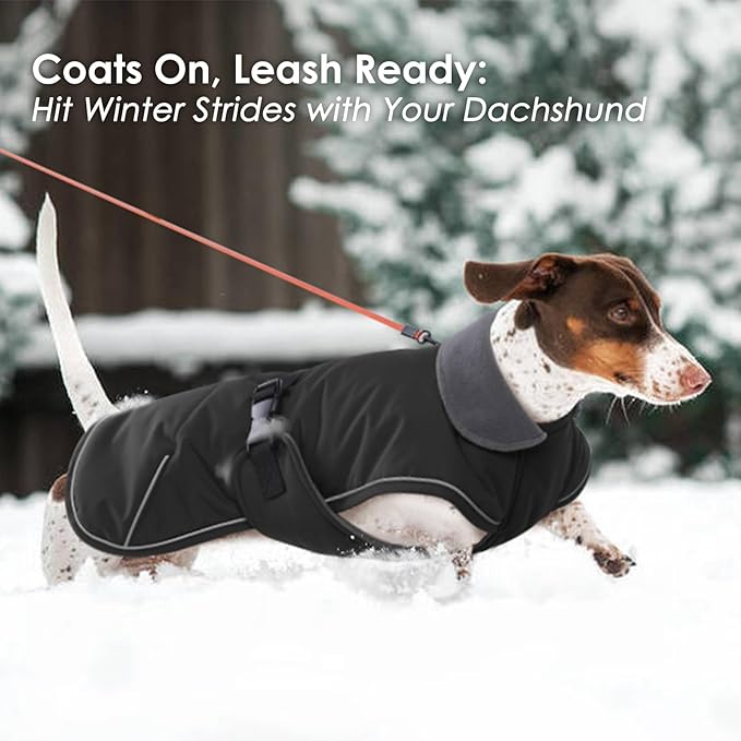 Dachshund Coat - Warm Winter Dog Jacket with Fleece Lining, Windproof Waterproof Snowsuit, Black, Medium