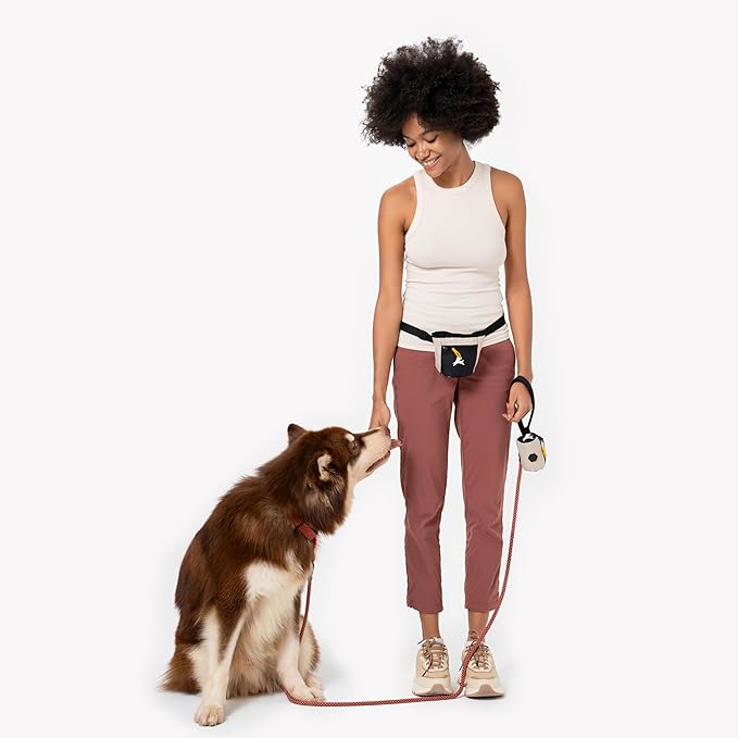 OllyDog Scoop Pick Up | Dog Poop Bag Holder | Lightweight & Water-Resistant Dispenser | Leash Attachment for Hands-Free Carry | Fits Standard Waste Bag Rolls (Con Leche)