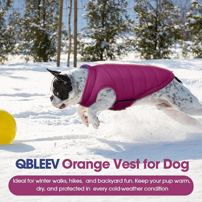 QBLEEV Reversible Dog Winter Coat, Waterproof Windproof Warm Jacket with Adjustable Hook & Loop Design, Lightweight Puffer Vest for Medium Dogs, Purple, M – Fits Pug, Beagle, Corgi