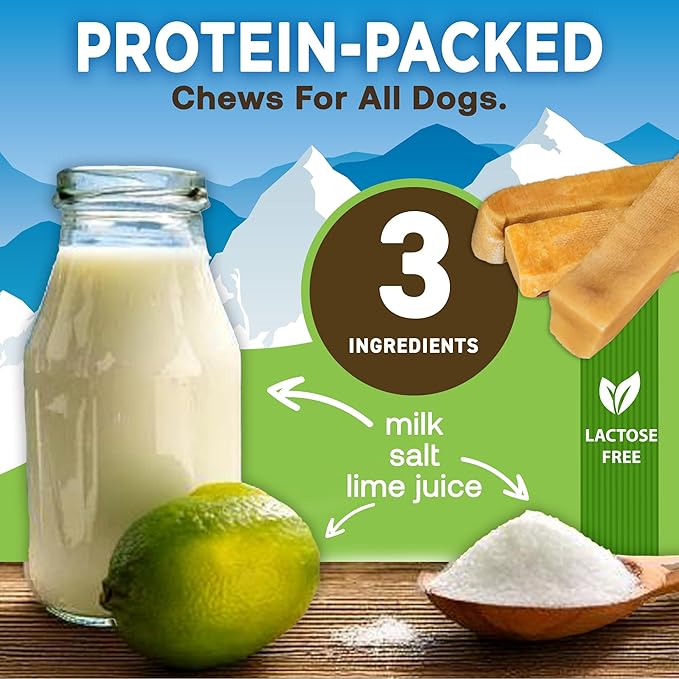 EcoKind Premium Gold Yak Cheese Himalayan Dog Chews, Healthy Dog Treats for Medium Dogs, All Natural, Long Lasting Dog Chew for Aggressive Chewers, High Protein, Rawhide Free Treat, Medium - 3 Chews