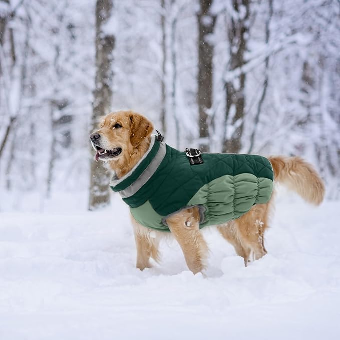 Lelepet Warm Dog Winter Coat Dog Coats for Medium Dogs Waterproof Dogs Jacket with Harness Built in Reflective Cold Weather Coats Windproof Zip-Up Winter Fleece Vest Snowsuit Dachshund Teal Green