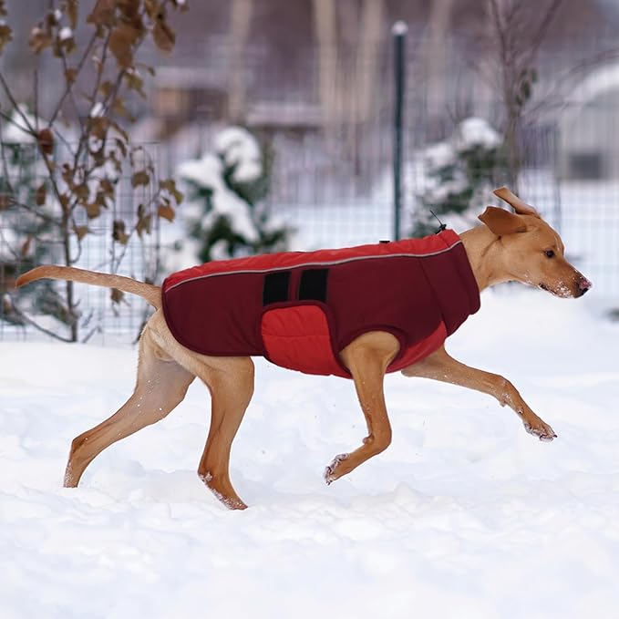 Kuoser XXXL Dog Coat, Dog Jackets for Large Dogs, Reflective Pet Winter Coat Cold Weather Coats, Doggie Snow Jacket Warm Apparel Clothes for Great Dane, Red XXXL