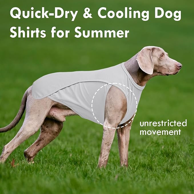 2 Pack Dog Shirt Quick Dry, Sun Protection UPF50+ Summer Cooling Vest, Soft Lightweight Tshirts for Medium Dogs Allergy Wound Care, Blue+Grey, M