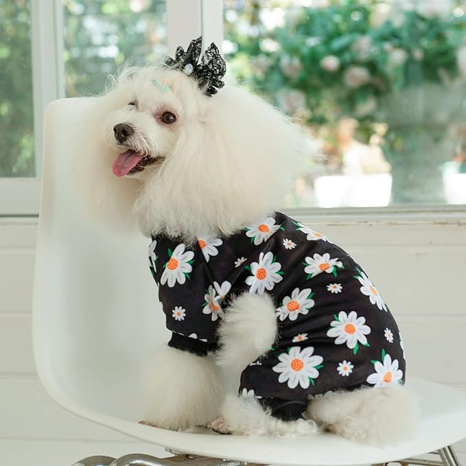 CuteBone Small Dogs Outfit Soft Puppy Onesies Pjs Dog Pajamas Pet Coat Cat Apparel Comfy Doggie Jumpsuit Bodysuit for All Seasons P221M