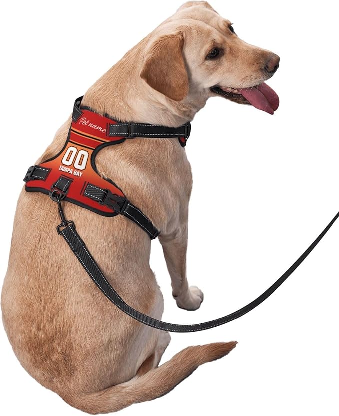 Custom Tampa Bay Dog Harness with Reflective Stripes Personalized Name and Number Dog Vest Harness with Pet Traction Rope for Small Medium Large Dog