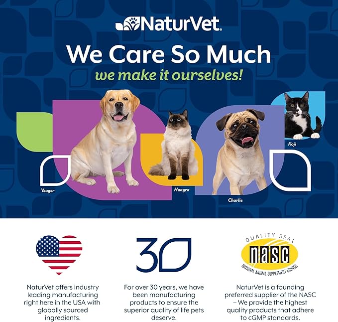 NaturVet – Omega-Gold Plus Salmon Oil | Supports Healthy Skin & Glossy Coat | Enhanced with DHA, EPA, Omega-3 & Omega-6 | for Dogs & Cats | 90 Soft Chews