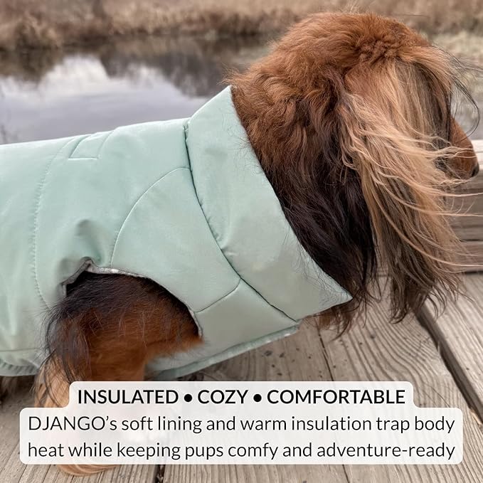 DJANGO Puffer Dog Coat – Warm Winter Dog Jacket & Water-Repellent Insulated Puffer Vest with Striped Lining, Harness Hole, Adjustable Fit for Small & Medium Dogs, Dachshunds – Sea Foam Green, Small