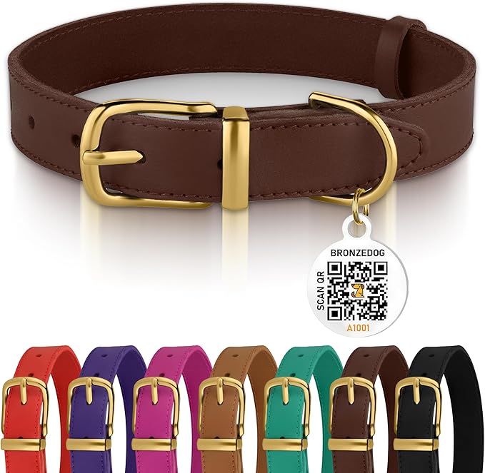 BRONZEDOG Leather Dog Collar with Metal Buckle Durable Basic Pet Collars for Small Medium Large Dogs (13-16 Inch (Pack of 1), Dark Brown & Gold Buckle)