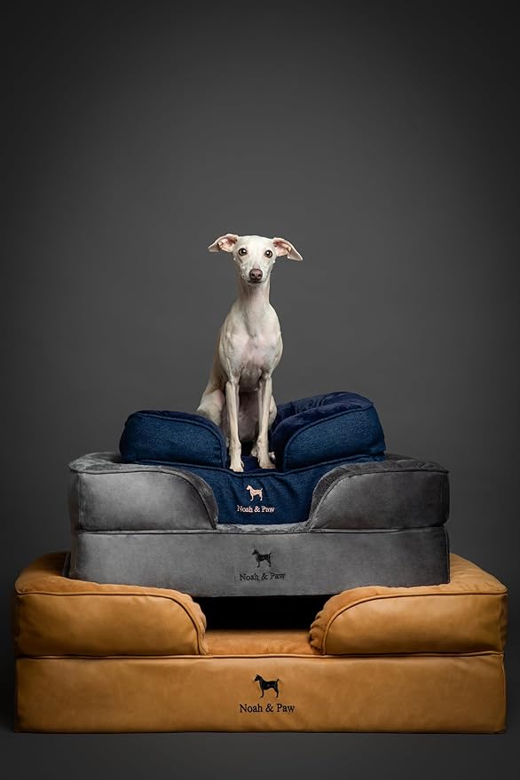 NOAH & PAW Dog Bed, 28x23x11 Inch, Orthopedic Dog Beds for Medium Size Pets, Eggshell Memory Foam Infused with Cooling Gel, Inner Cover, Waterproof, Machine Washable (Faux Leather Sofa Collection)