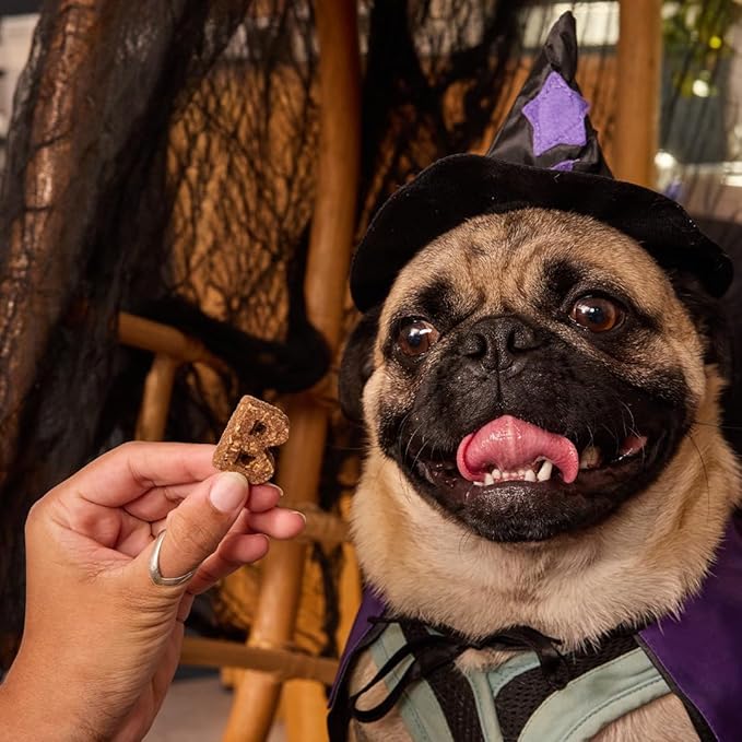Bocce's Bakery Phantom Feast All-Natural Soft & Chewy Halloween Dog Treats - Wheat-Free Everyday Cookies for Dogs, Made with Real Ingredients & Baked in The USA - Chicken & Pumpkin Flavored (6 oz Bag)
