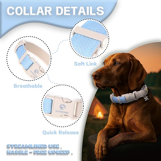 DOGWONG LED Dog Collar - Heavy Duty Light up Collars - Rechargeable Waterproof - Lighted Dog Collar for Night Walking, Hiking, Camping(Blue,L)
