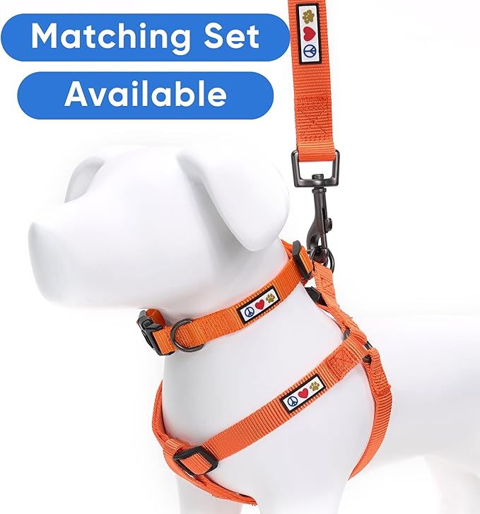Pawtitas Personalized Dog Leash Embroidered Customize Leash with Your Pet Name & Phone Number Leash Puppy Leash Leash 6 ft Long Dog Leash Puppy Small Leash Orange Custom Engraved Name, Orange ✅ Solid