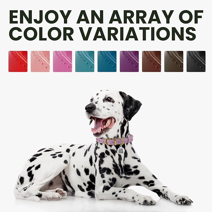 BRONZEDOG Rolled Leather Dog Collar for Small Medium Large Dogs with QR ID Tag (M: 14-16 Inch, Glossy Black)