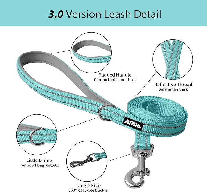 AIITLE Escape Proof Dog Harness - Step in Adjustable Dog Harness No Choke Over with Breathable Mesh for Summer- Outdoor Walking, Camping, Training for Medium Dogs Turquoise XL