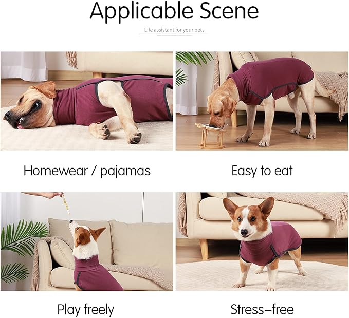 Dog Sweater Pullover Cold Weather Vest for Dogs Dog Sweatshirt & Jacket for Indoor and Outdoor Use (Medium, Wine red)
