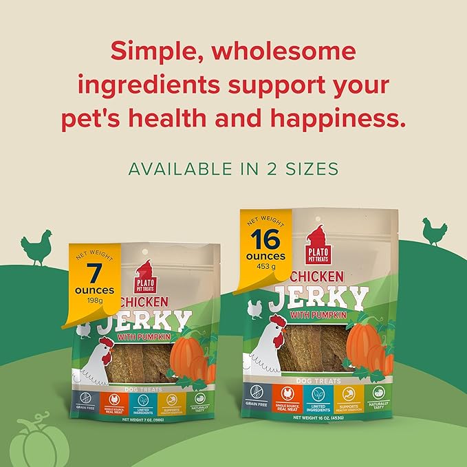 PLATO Pet Treats Dog Treats - Air-Dried Jerky for Dogs - Delicious, Real Meat Dog Treats - Grain Free - Supports Healthy Digestion - Chicken Jerky with Pumpkin 7oz