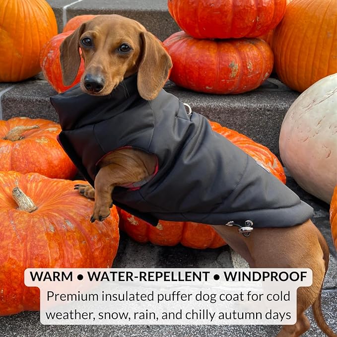 DJANGO Reversible Puffer Dog Coat – Warm Winter Dog Jacket & Water-Repellent Insulated Dog Coat with Harness Hole, Windproof, Adjustable Fit Vest for Small & Medium Dogs, Dachshunds – Black, Small