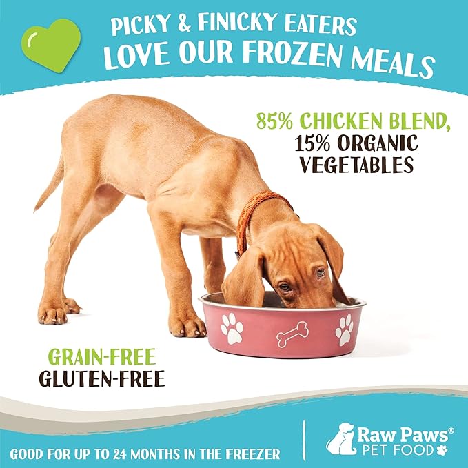 Raw Paws Signature Blend Pet Food for Dogs & Cats - Chicken & Vegetable Recipe, 1-lb Rolls (20 Pack) - Freshly Made in USA - Raw Diet Cat Food - Raw Frozen Dog Food - Fresh Dog Food Log