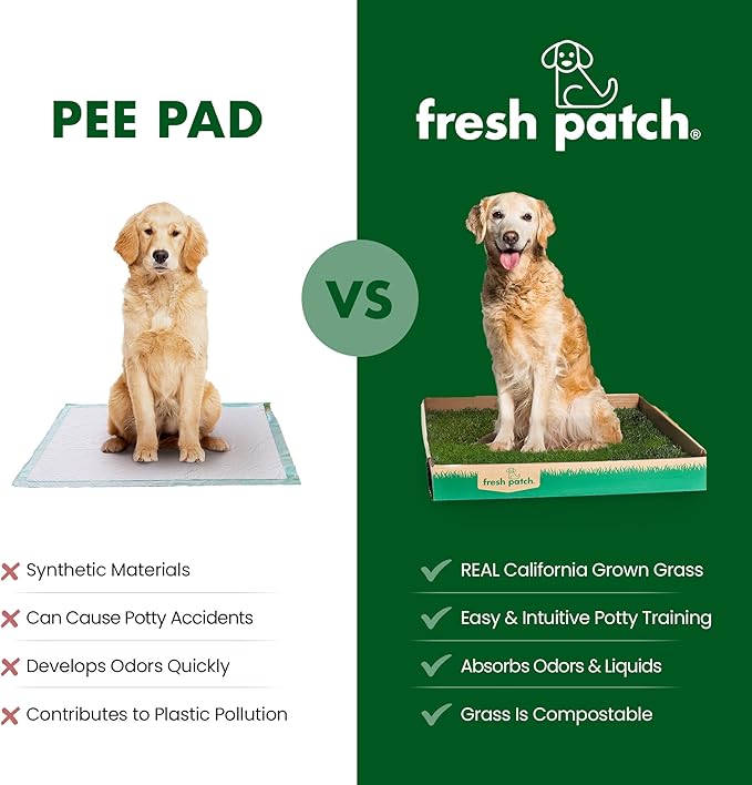 Fresh Patch Real Grass Patch for Dogs, Cats, and Large Pets 15-30 Pounds – Disposable Pet Grass Pee Pads – Indoor and Outdoor Potty Training Mat (24 Inches x 24 Inches)