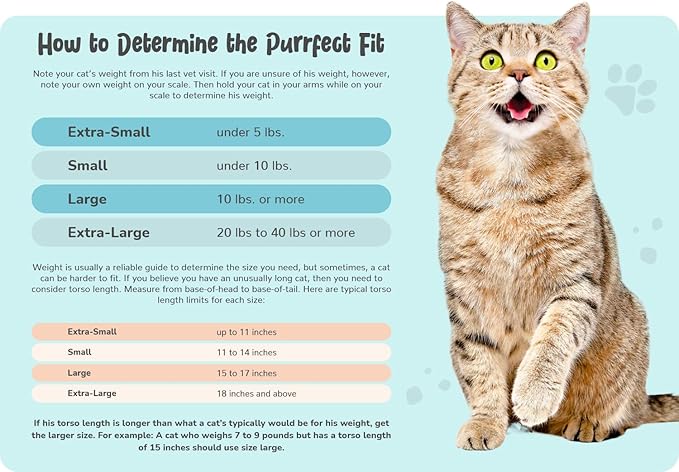 Cat-in-the-Bag Cozy Comfort Carrier - Small Charcoal Cat Carrier Soft and Pet Carrier for Nail Clipping, Vet Visits, Medication Administration, Dental Care, and Traveling