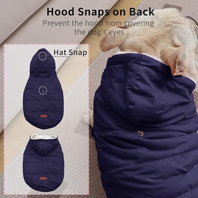 Fleece Lining Extra Warm Dog Hoodie in Winter for Small Dogs Jacket Puppy Coats with Hooded,Blue M