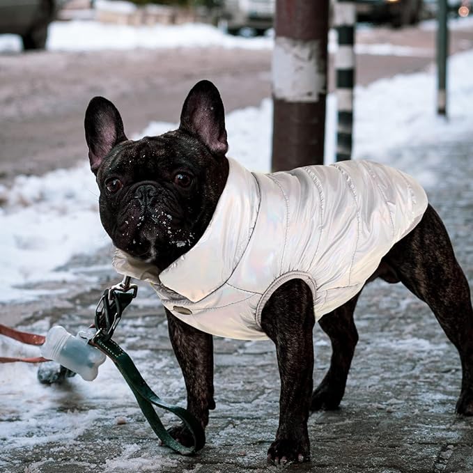 ASENKU Dog Winter Coat - Waterproof Windproof Dog Jacket, Warm Snowproof Doggie Puffer Vest for Cold Weather, Lightweight Snow Coats for Small Medium Large Dogs (Silver, 3XL)