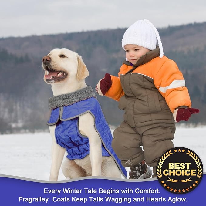 Fragralley Dog Winter Coat, Waterproof Windproof Reflective Fleece Jacket with Harness Hole, Warm Snow Vest for Small Medium Large Dogs, Ideal Gifts