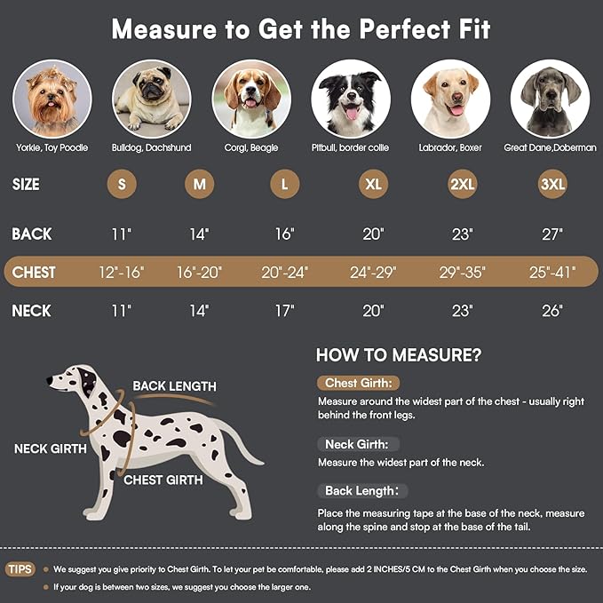 Queenmore Winter Dog Coat Warm Dog Jacket Vest Waterproof Puffer Fleece Snowsuit Adjustable Buckle Leash Hole Reflective Cold Weather Parka for Small Medium Large Dogs Girl Boy Black XXXL