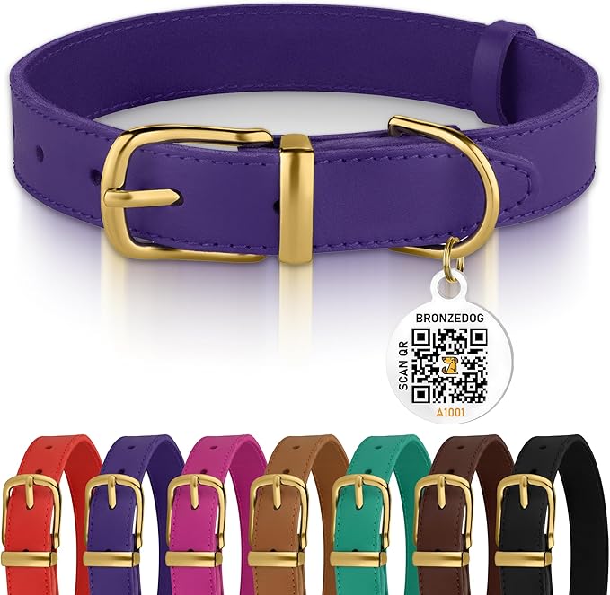 BRONZEDOG Leather Dog Collar with Metal Buckle Durable Basic Pet Collars for Small Medium Large Dogs (14-17 Inch (Pack of 1), Purple & Gold Buckle)