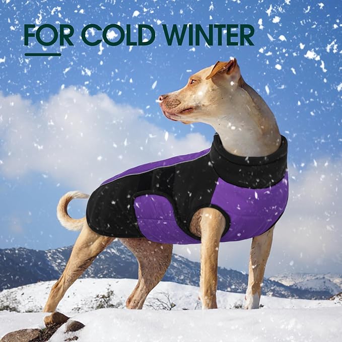 Kuoser Dog Jacket, Warm Dog Coats for Small Dogs, Reflective Doggie Winter Jacket Cold Weather Pet Coats with Leash Hole, Winter Coat Apparel for Yorkie Chihuahua, Purple XS