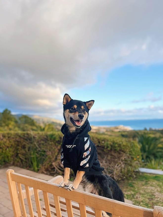 ChoChoCho Woof Dog Hoodie, Designer Dog Hoodies for Small Medium Large Breeds, Art Collection Dog Sweatshirts, Street Drawstring Hoodies Outfit Clothes for Puppy Puppies (4XL, Monet Painting)