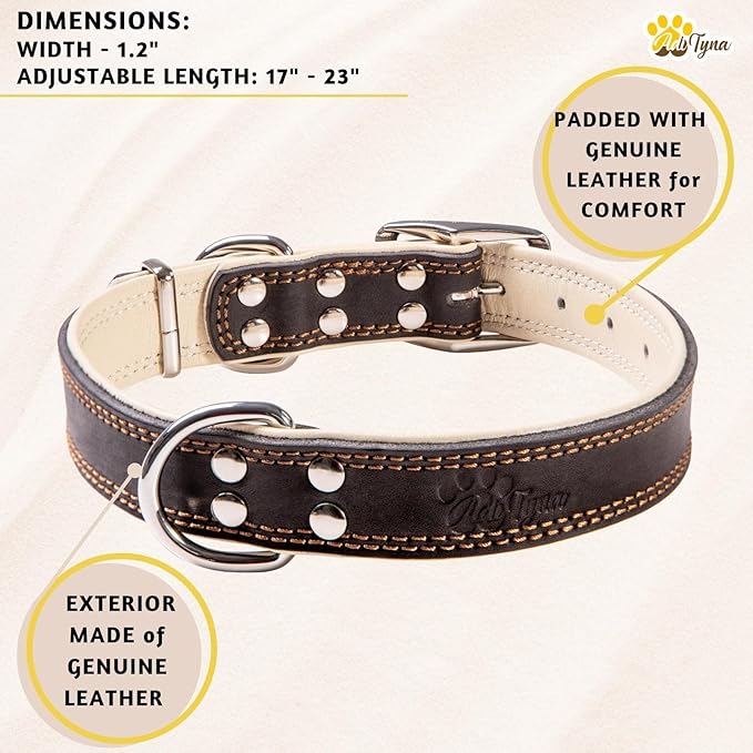 ADITYNA Heavy-Duty Black Leather Dog Collar for Large Dogs - Soft Padded for Comfort - Large Dog Collar for Walking, Training, and Hiking
