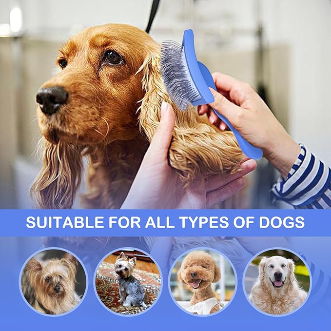 Dog Slicker Brush for Golden Doodle Grooming Kit - Dematting Brushes for Goldendoodles, Labradoodles, Poodles - Pet Hair Brush for Medium & Long Haired Dogs - Large (Blue)