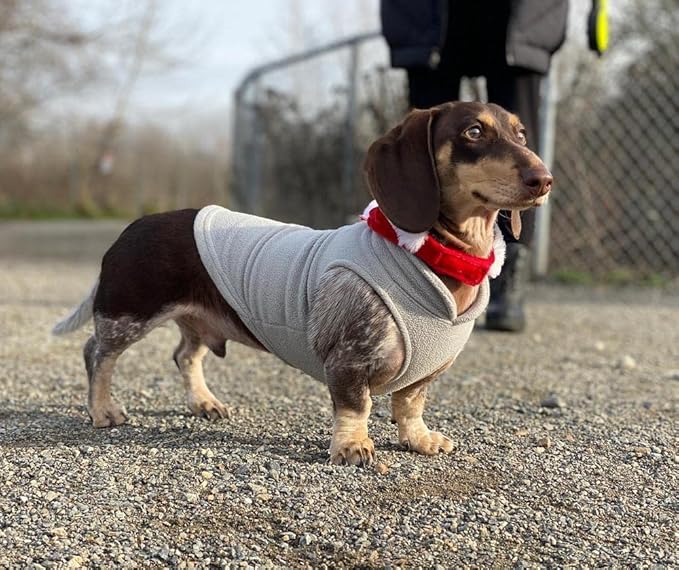 Gooby Fleece Vest Dog Sweater - Gray/Yellow, X-Small - Warm Pullover Fleece Dog Jacket with O-Ring Leash for Small to Medium Dogs