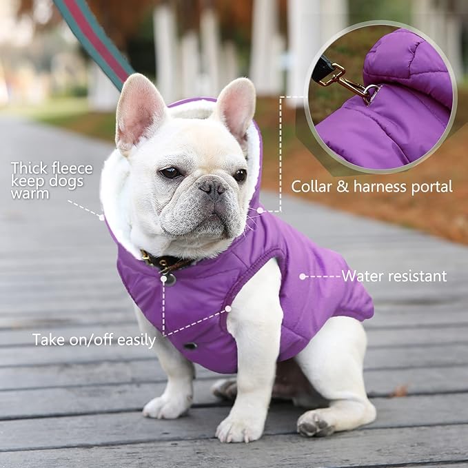 Windproof Waterproof Dog Coat Fleece & Cotton Lined Warm Jacket, Cold Weather Pet Apparel Clothes Vest for Small to Large Dogs (L, Purple)