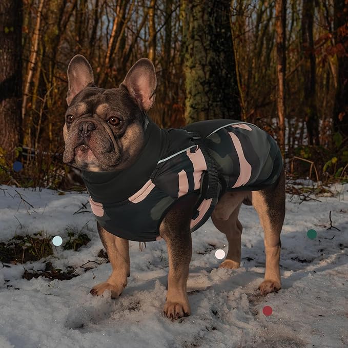 IECOii Extra Warm Dog Coat - Reflective Adjustable Jacket With Buckle Fleece Turtleneck for Cold Weather - Soft Winter Coat for Small Medium Extra Large Dogs