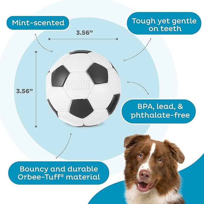 Outward Hound by Planet Dog Soccer Ball, Durable Treat-Dispensing Dog Ball, Interactive Fetch Toy, Orbee-Tuff, Mint Scented, BPA-Free, for Indoor & Outdoor Play, White