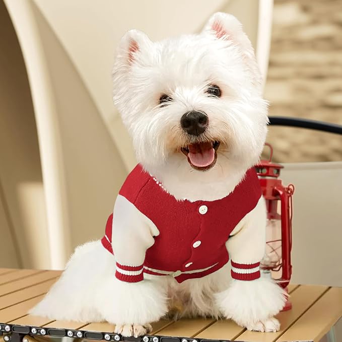 Small Dog Sweater Sweatshirt Cute Puppy Sweaters - Winter Red Warm Knitted Bear Design for Puppies (S)