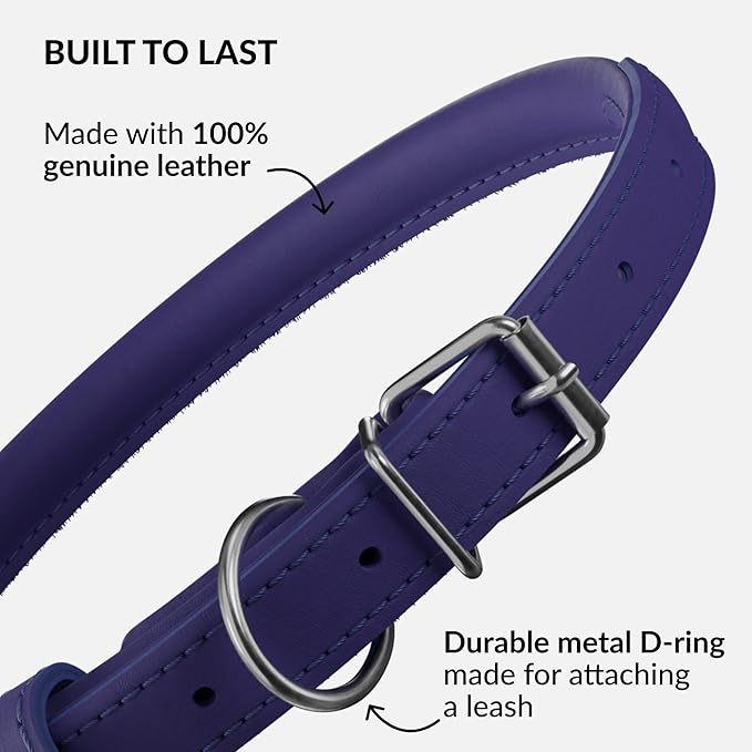 CollarDirect Rolled Leather Dog Collar, Soft Padded Round Puppy Collar, Handmade Genuine Leather Collar Dog Small Large Cat Collars 13 Colors (18-22 Inch, Purple Smooth)